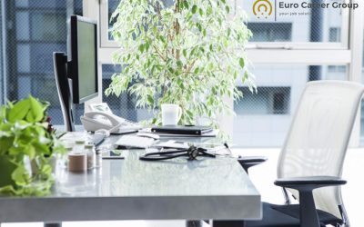 La Importancia de la Salud en el Ambiente Laboral 2024